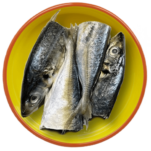 raw food fish