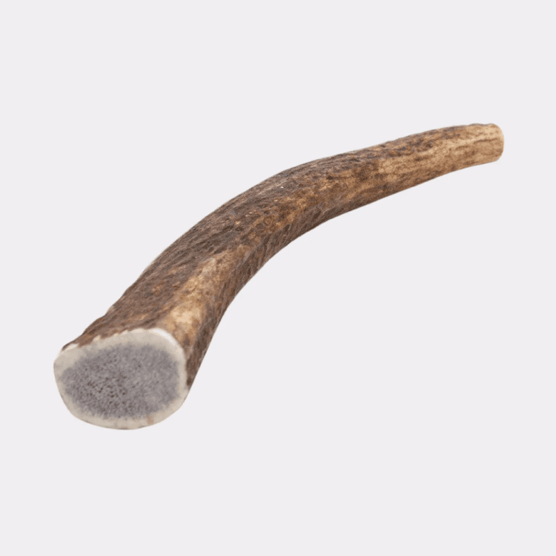 Deer Antler - Image 3