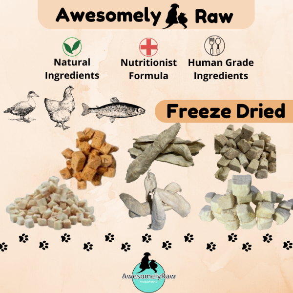 Freeze-Dried Treats 冻干类