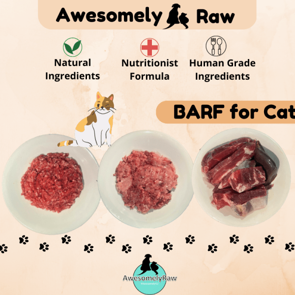 BARF & RAW Food for (Cat) 猫咪生食