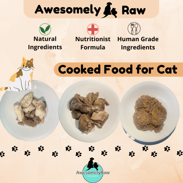 Cooked Food for (Cat) 猫咪鲜熟食