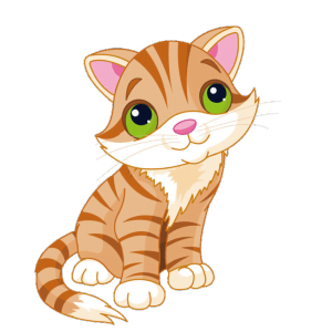 cat food